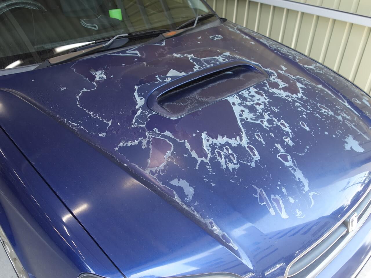 スバル レガシィB4 塗装はがれ・劣化修理 神奈川県よりご来店のお客様